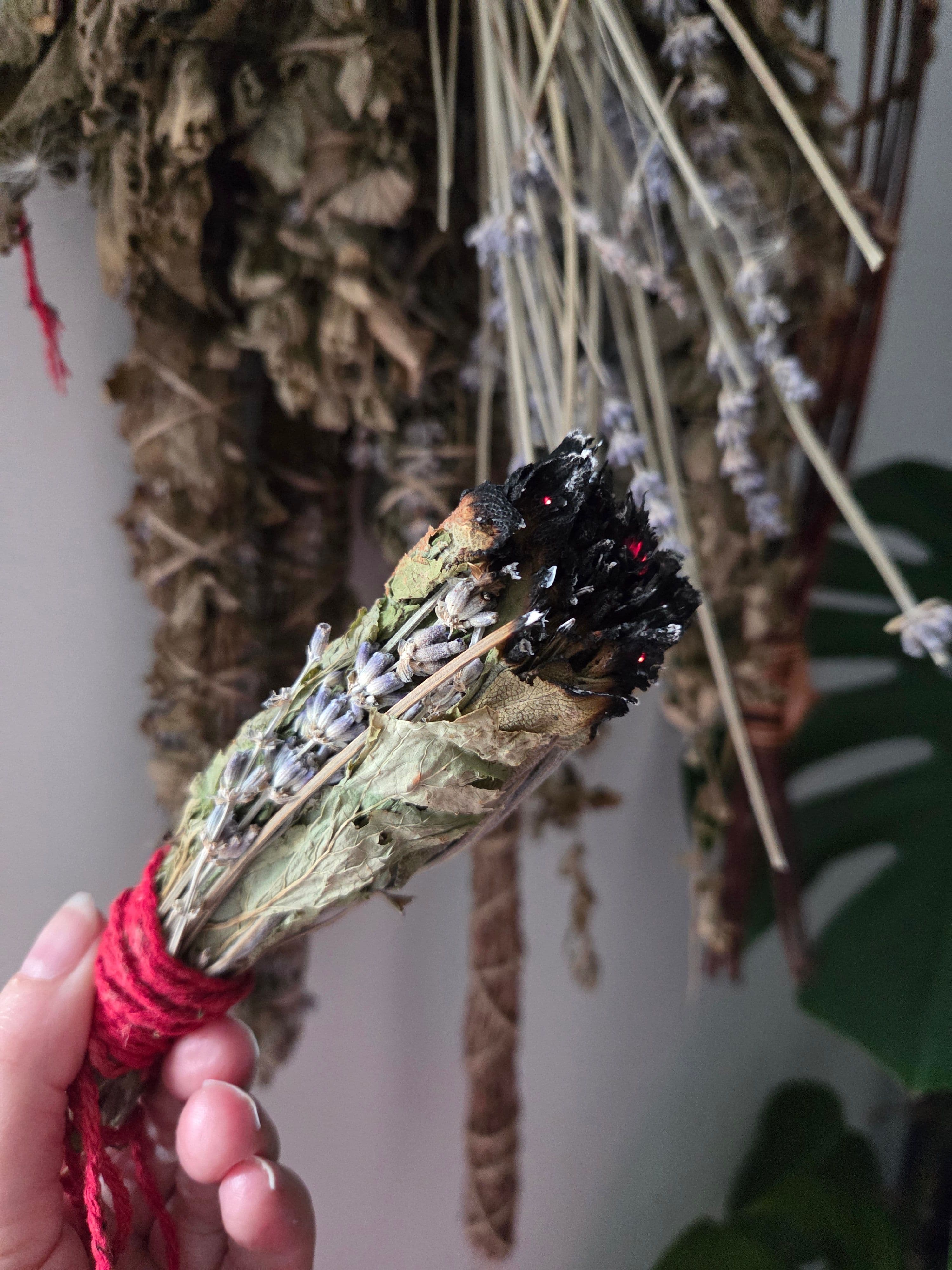 The Sacred Smoke: Cultivating a Living Alliance with Lemon Balm, Sage, Rosemary, and Lavender